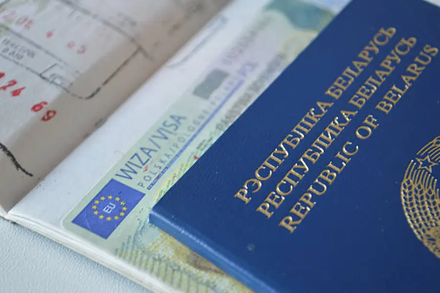 هل فيزا شنغن أصبحت أونلاين بالكامل؟